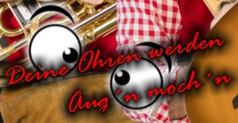 Partyband Oberösterreich